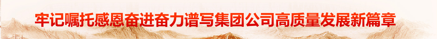 赏金国际 b49ed